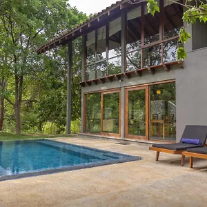 Resort Wild Grass Nature Sigiriya